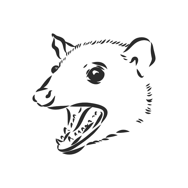 Vector schets opossum snuit opossum vectorillustratie