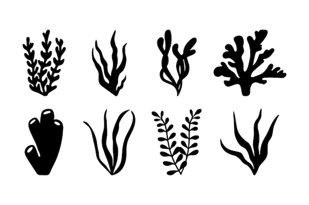 Vector sea collection corals hand drawn doodle illustrations