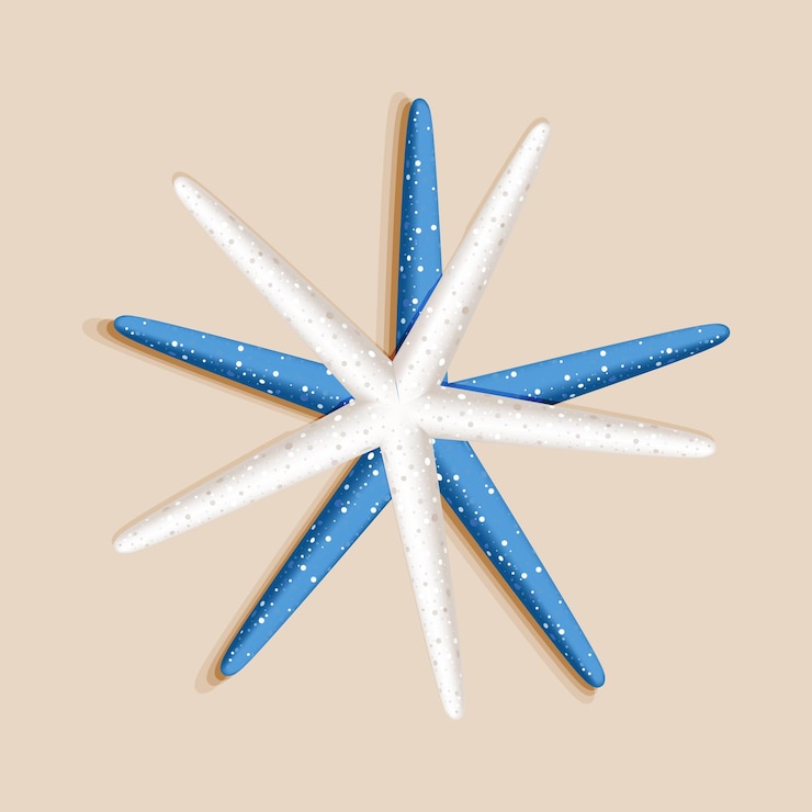 Vector vector sea coral1