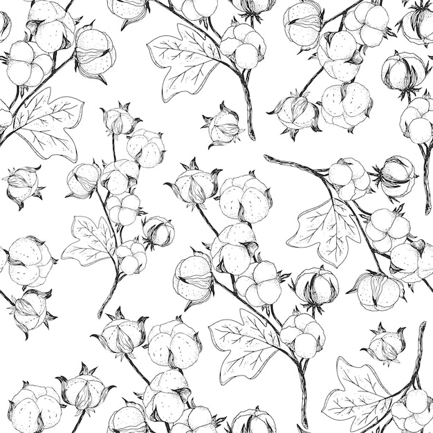 Vector vector seamless background with cotton twigs. contour pattern. hand-drawn.