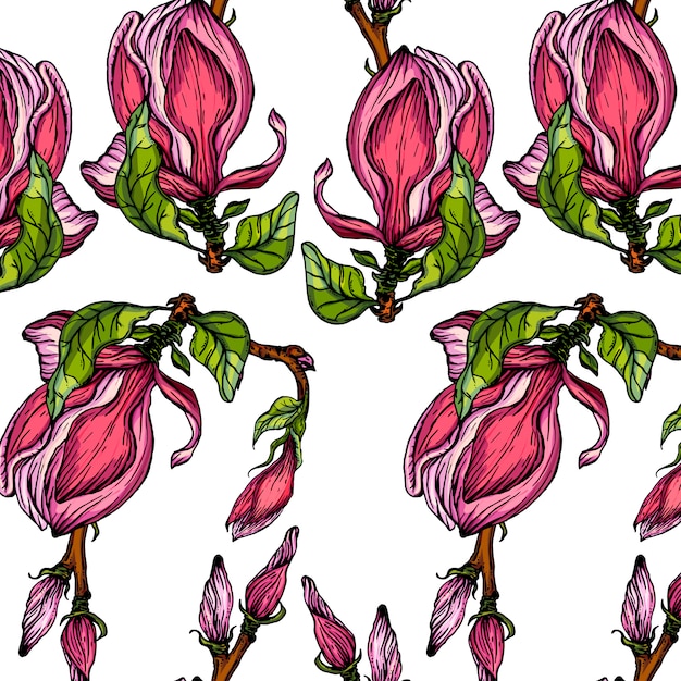 Vector seamless background with Magnolia flowers.