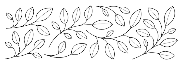 Векторный бесшовный контурный цветочный узор на белом фоне элементов частей растений векторный эскиз