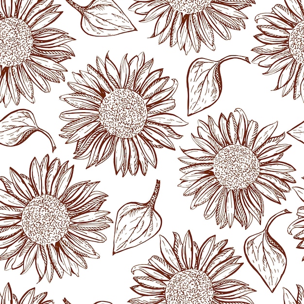 Vector vector seamless hand drawing pattern  brown sunflowers on a white background