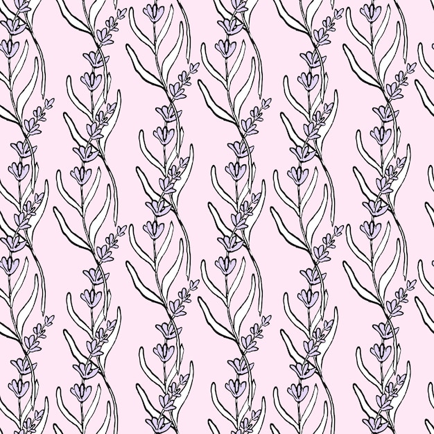 Vettore motivo lavanda senza cuciture vettoriale su rosa schizzo a base di erbe vintage disegnato a mano