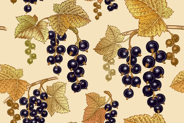 Vector vector seamless pattern black currant berries