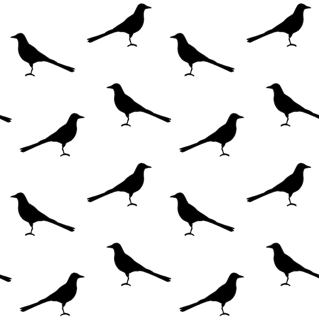 Vector seamless pattern of black magpie bird