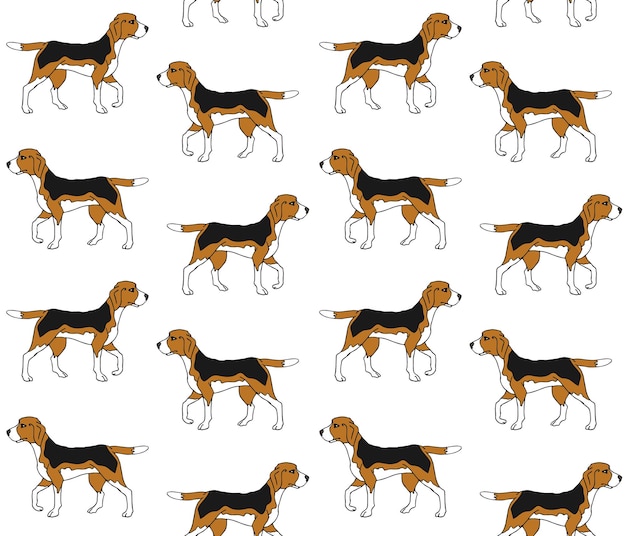 Vector seamless pattern of colored beagle