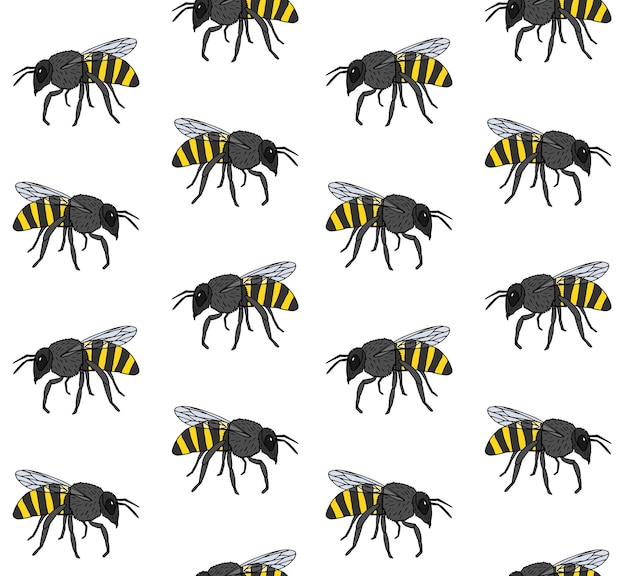 Vector vector seamless pattern of colored bee