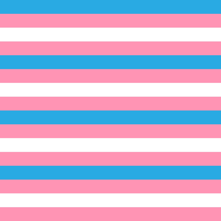 Vector vector seamless pattern of flat transsexual flag
