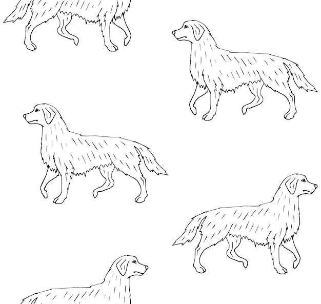 Vector seamless pattern of hand draw retriever dog