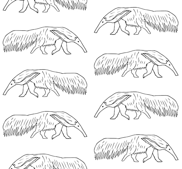 Vector seamless pattern of hand drawn anteater