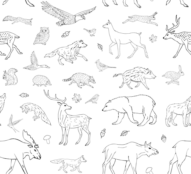 Reticolo senza giunte degli animali della foresta disegnati a mano