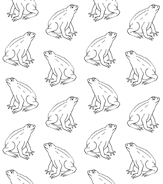 Vector seamless pattern of hand drawn frog