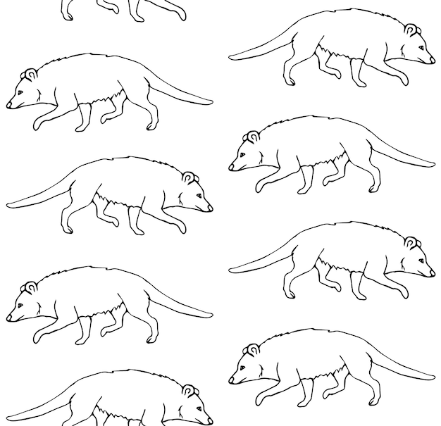 Vector seamless pattern of hand drawn opossum