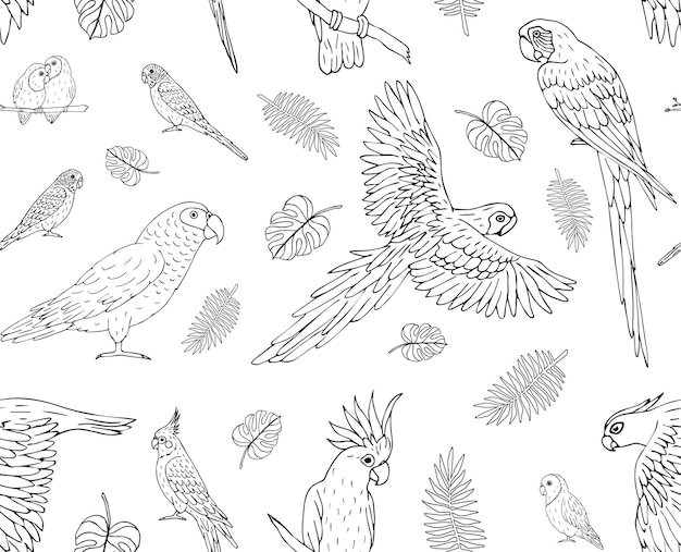 Vector seamless pattern of hand drawn parrot