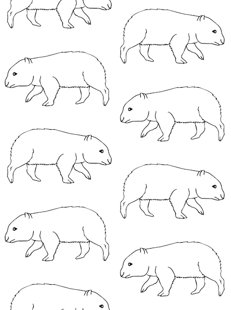 Vector vector seamless pattern of hand drawn wombat