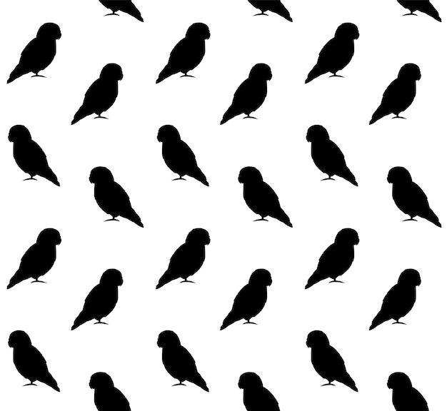 Vector seamless pattern of lovebird parrot silhouette