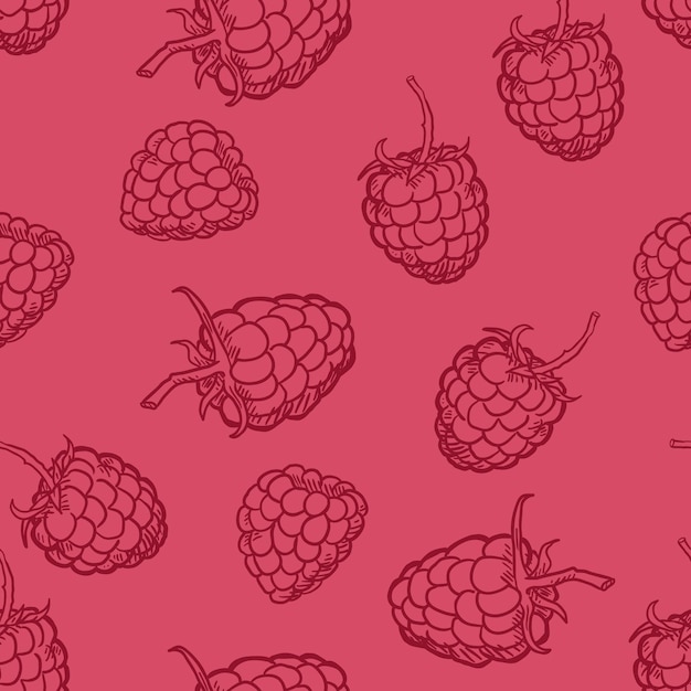 Vector Seamless Pattern of Raspberries