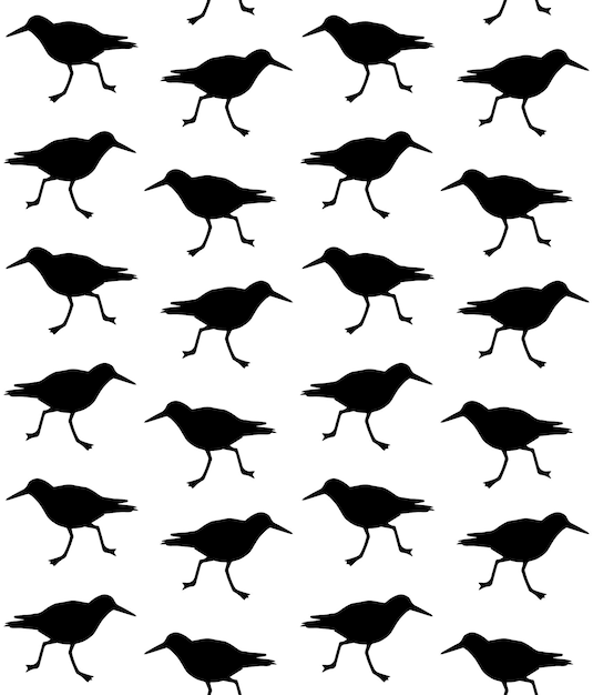 Vector seamless pattern of sandpiper silhouette