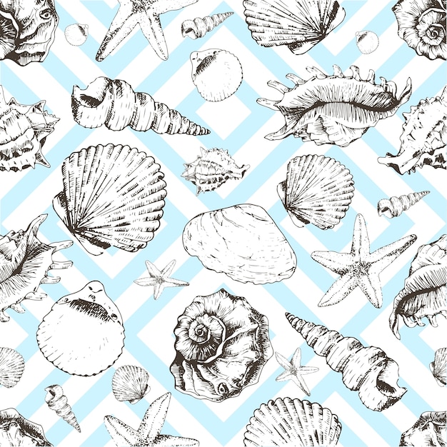 Vector seamless pattern of seashells