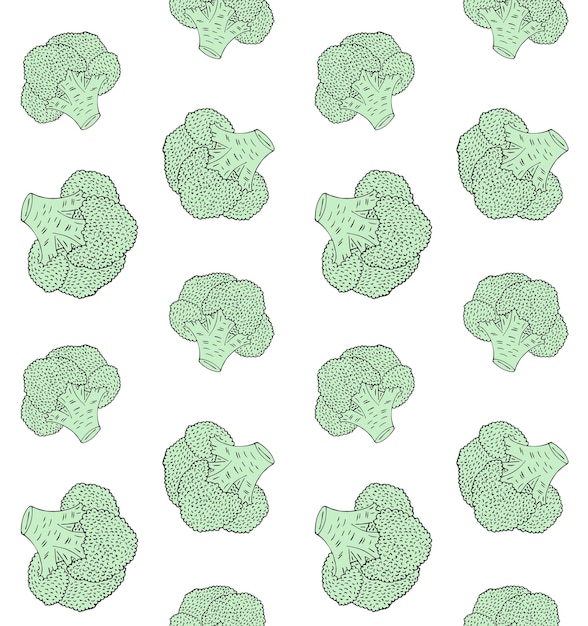 Vector seamless pattern of sketch broccoli