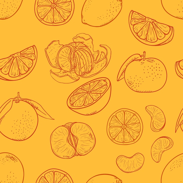 Vector Seamless Pattern of Sketch Citrus Fruit on Orange Background