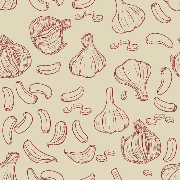 Vector Seamless Pattern of Sketch Garlic on Gray Background