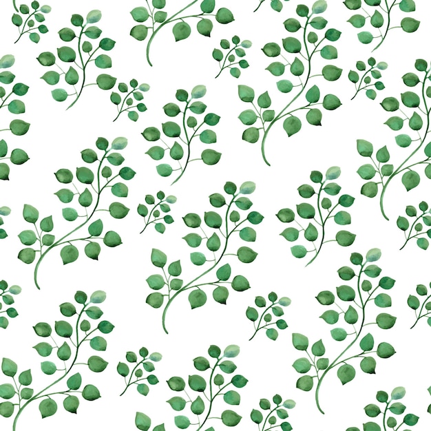 Vector vector seamless pattern watercolor herb