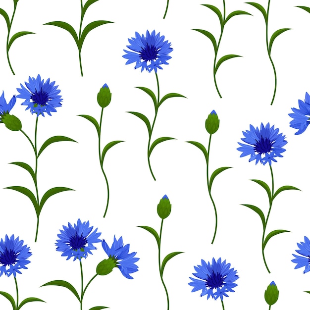 Vector seamless pattern with blue cornflowers on white Can be used for fabric textile