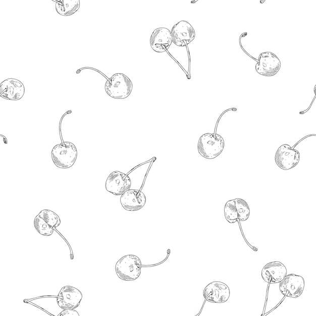 Vector seamless pattern with cherries Outline vector illustration of berries on white background