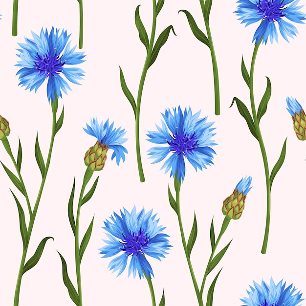 Vector seamless pattern with cornflower