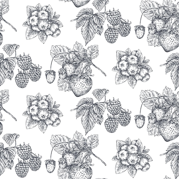 Vector vector seamless pattern with hand drawn berries in sketch style. strawberry, raspberry blueberry. detailed vegetarian food drawing. beautiful vintage endless background