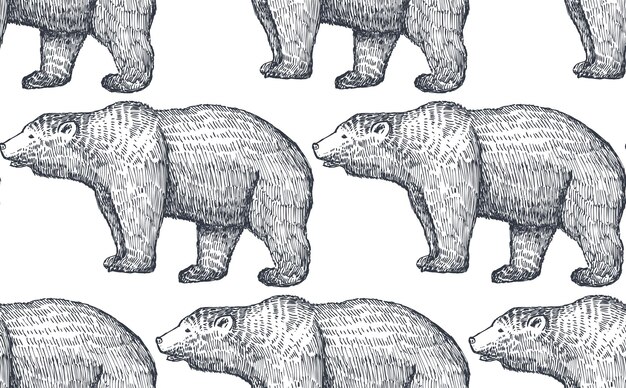 Vector seamless pattern with hand drawn forest animals. Bears on white background. Vector illustration art. Design for fabrics, paper, textiles, fashion.