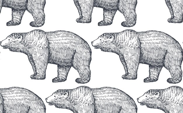 Reticolo senza giunte con gli animali della foresta disegnati a mano. orsi su sfondo bianco. arte di illustrazione vettoriale. design per tessuti, carta, tessuti, moda.