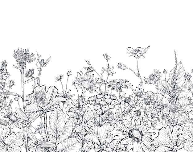 Векторный бесшовный узор с нарисованными вручную травами и полевыми цветами