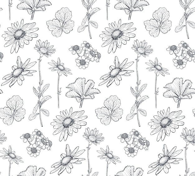 Vector seamless pattern with hand drawn herbs chamomile flowers and wildflowers