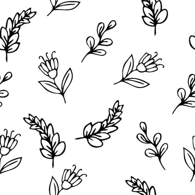 Vector vector seamless pattern with hand drawn herbs and flowers on white background