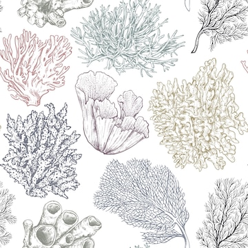 Premium Vector | Vector seamless pattern with hand drawn ocean plants and coral  reef elements in sketch style colorful graphic endless background