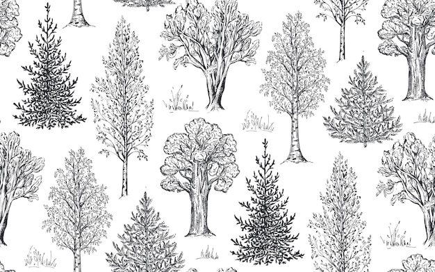 Vector seamless pattern with hand drawn trees in sketch style