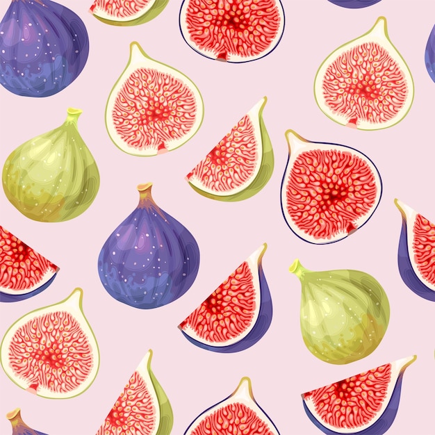 Vector vector seamless pattern with high detailed green and ripe figs