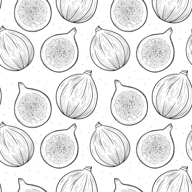 Vector seamless pattern with monochrome illustrations of raw figs in sketch style