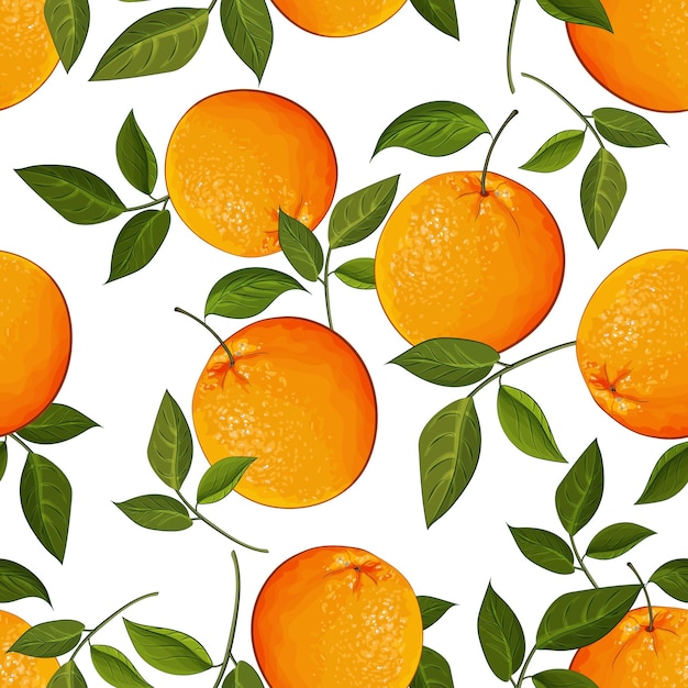 Vector seamless pattern with oranges fruit and green leaves on white background