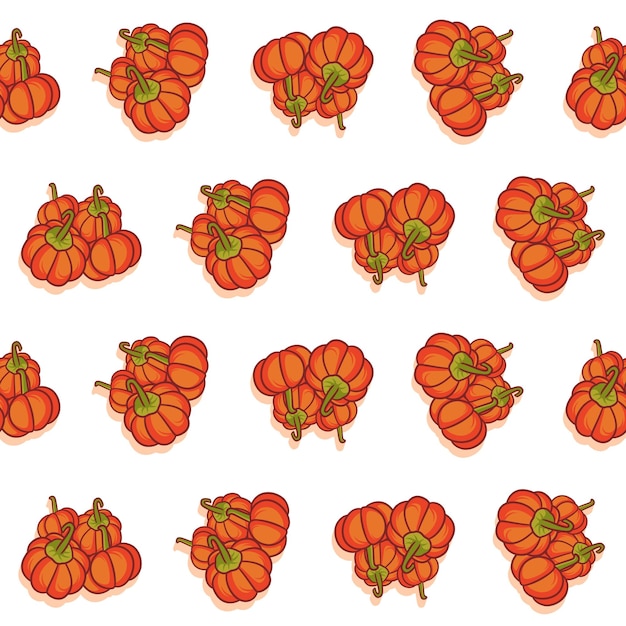 Vector seamless pattern with pumpkin. Pumpkin seamless pattern