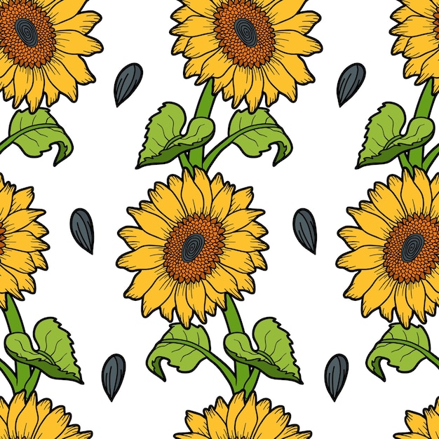 Vector vector seamless pattern with sunflower on white background