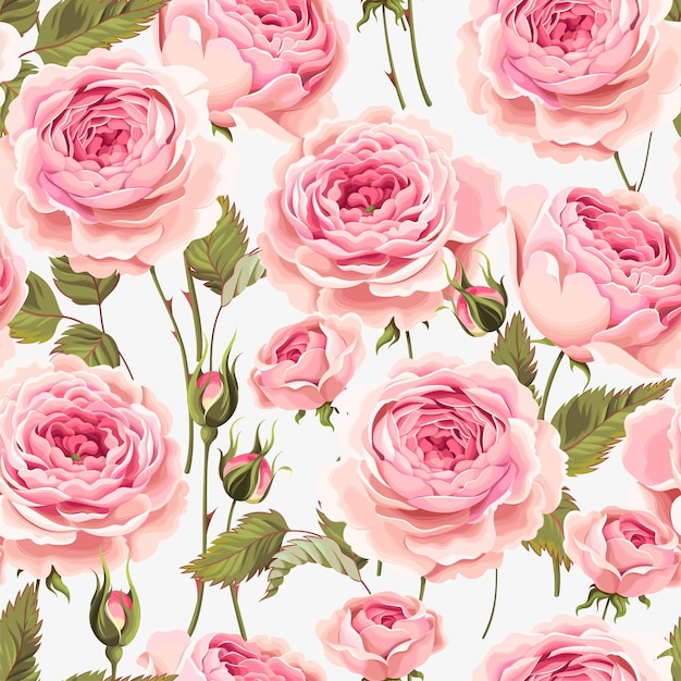 Vector vector seamless pattern with vintage roses