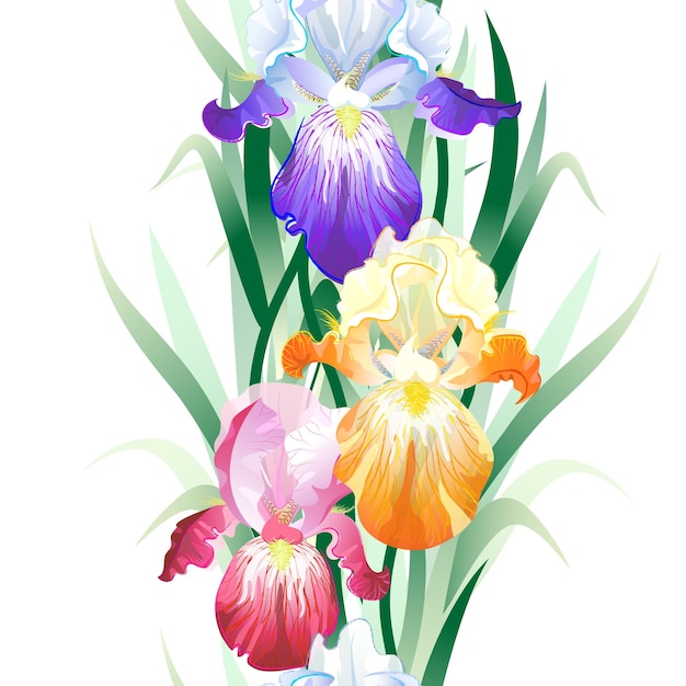 vector seamless pattern with violet orange and vinous iris flowers on the white background