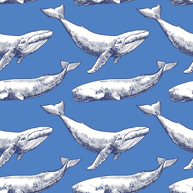 クジラとマッコウクジラのシームレスなパターンをベクトル彫刻技術手描きのインク描画の海の動物青い背景壁紙繊維生地の包装紙に使用できます