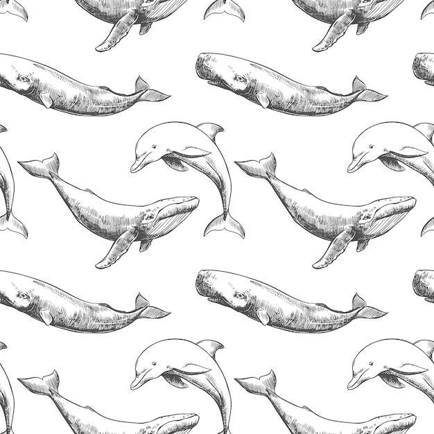 Vector seamless pattern with whales and sperm whales Marine animals in engraving technique