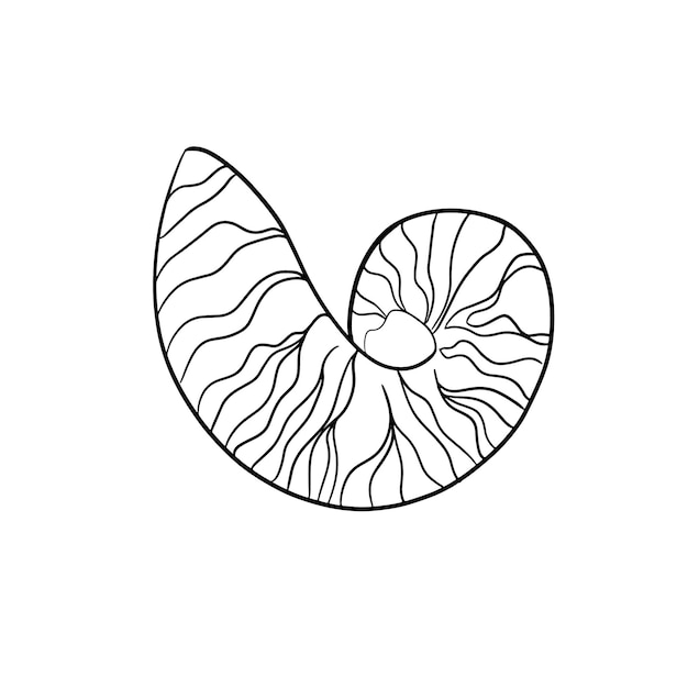 Vettore vector seashell linea di contorno arte semplice silhouette illustrazione isolata su sfondo bianco