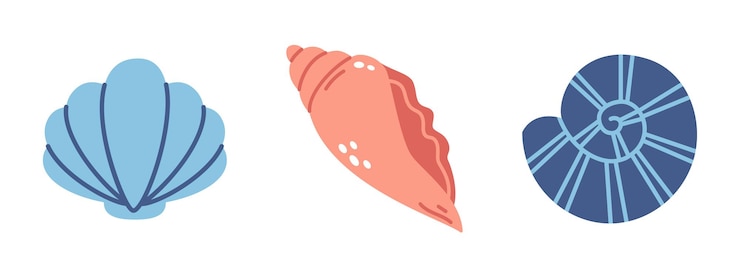 Vector 평면 디자인의 벡터 조개 세트 나선형 조개와 가리비 조개 해양 생물